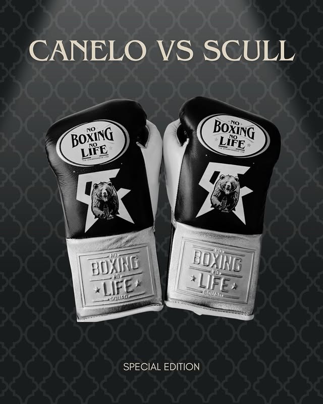 No Boxing No Life Glove - online, NBNL Boxing Gloves, Leather Gloves Limited Edition Black