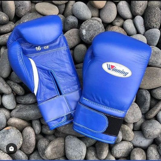 Winning boxing gloves, Blue christmas gift for mens Thanksgiving gifts for him