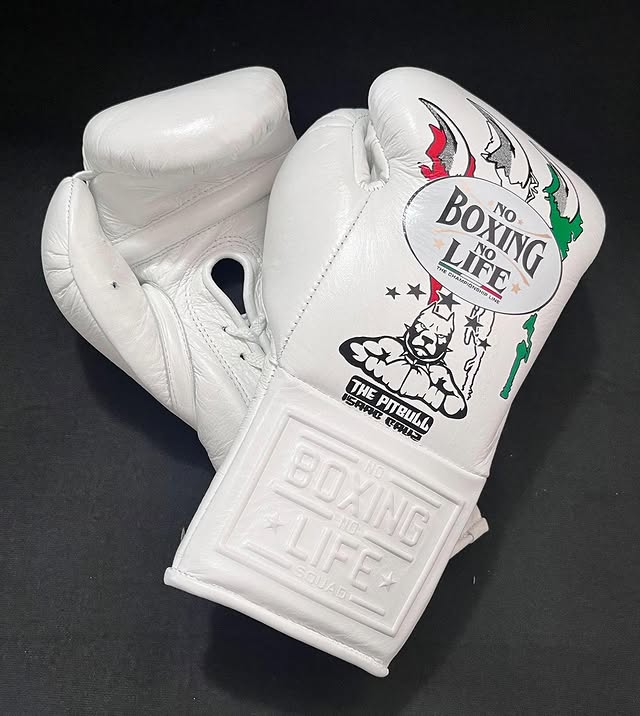 No Boxing No Life Glove - online, NBNL Boxing Gloves, Leather Gloves Limited Edition White