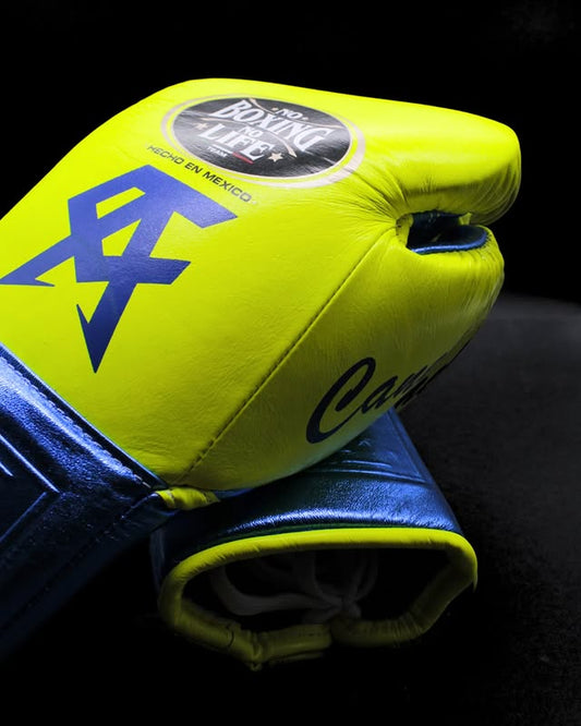 No Boxing No Life Glove - online, NBNL Boxing Gloves, Leather Gloves Limited Edition Parrot/Blue