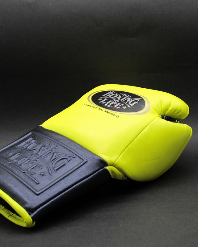 No Boxing No Life Glove - online, NBNL Boxing Gloves, Leather Gloves Limited Edition Parrot/Black