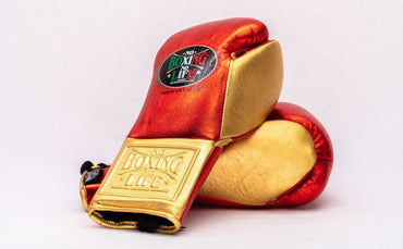 No Boxing No Life Glove - online, NBNL Boxing Gloves, Leather Gloves Limited Edition Red/Gold