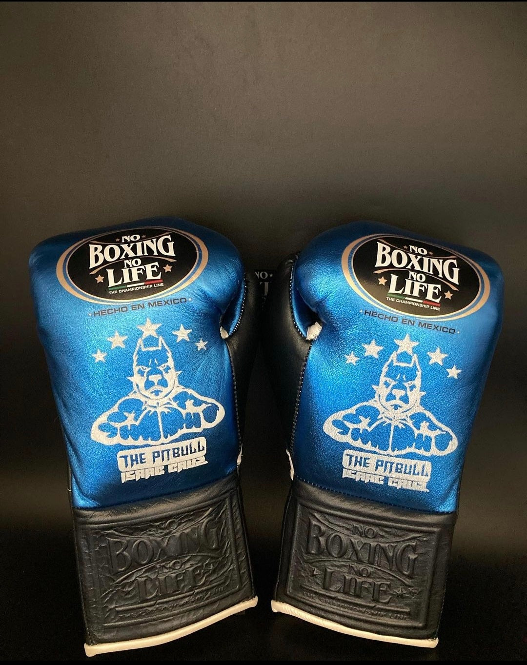 No Boxing No Life Glove - online, NBNL Boxing Gloves, Leather Gloves Limited Edition Black/Blue
