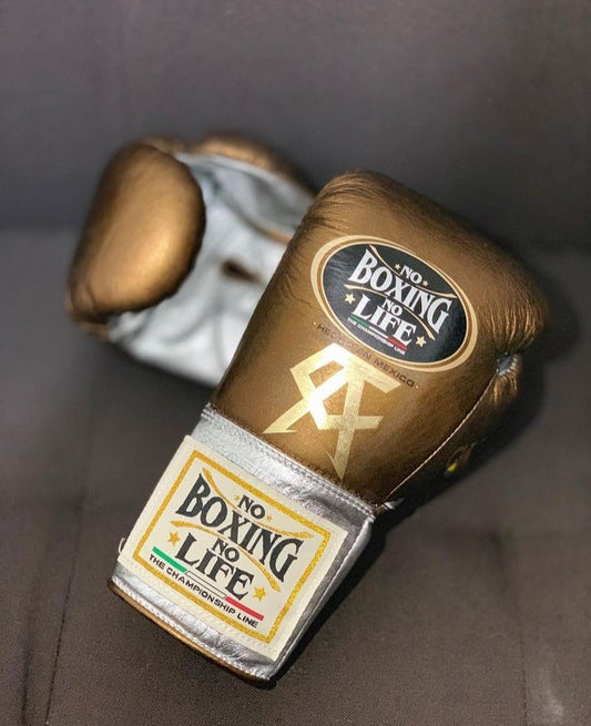 No Boxing No Life Glove - online, NBNL Boxing Gloves, Leather Gloves Limited Edition Copper