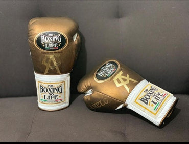 No Boxing No Life Glove - online, NBNL Boxing Gloves, Leather Gloves Limited Edition Copper