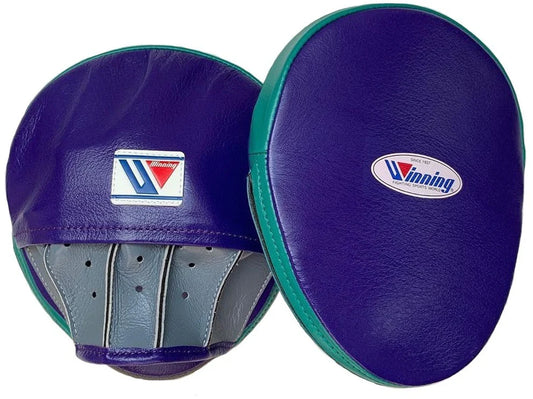 WINNING Punching Mitts Blue