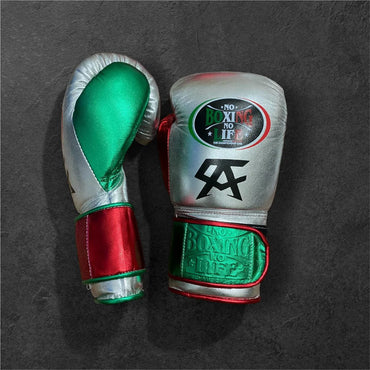 No Boxing No Life Glove - online, NBNL Boxing Gloves, Leather Gloves Limited Edition Silver/Green