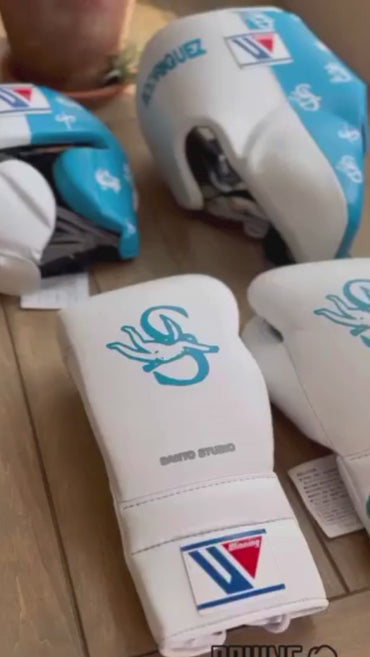 Winning Boxing Sets, Winning Head & Groin, Customizable boxing set
